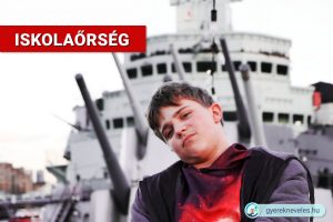 Iskolaőr, iskolarendőrség