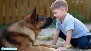 Bántja a gyerek az állatokat - gyereknevelés, gyermeknevelés
